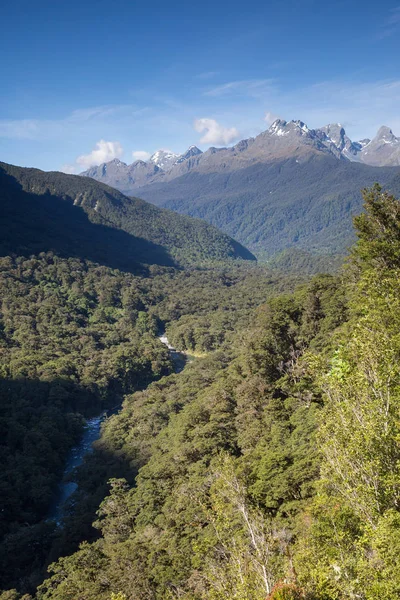 新西兰南岛上有水晶纯净水的山和溪流 — 图库照片