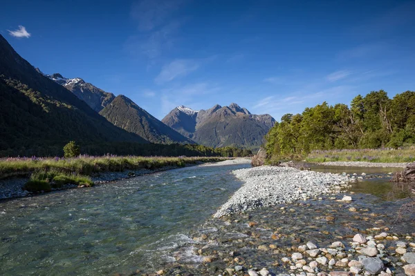 清澈纯净的水流 毛地黄 Palnts 和新西兰山脉 — 图库照片