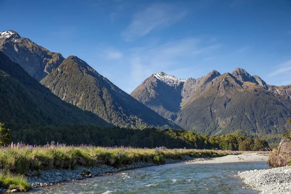 Kristallklares Reines Wasser Fingerhutpalmen Und Eine Bergkette Neuseeland — Stockfoto