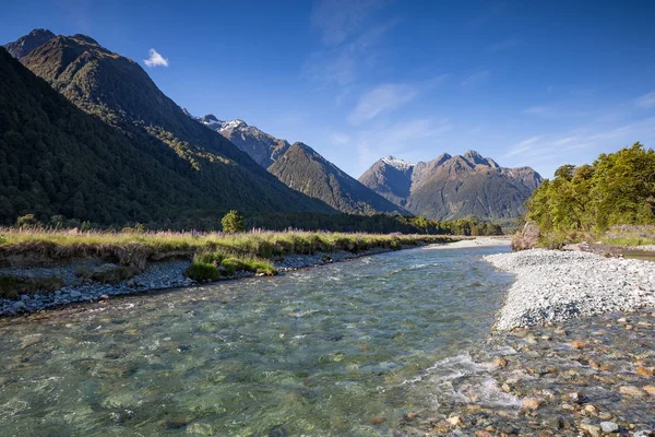 Crystal Clear Pure Water Stream Foxglove Palnts Mountain Range New — Stock Photo, Image