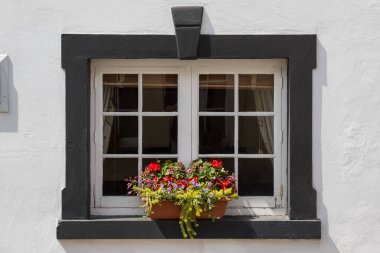 Küçük bir pencere kutu siyah çerçeveli pencere dışında güzel çiçekli