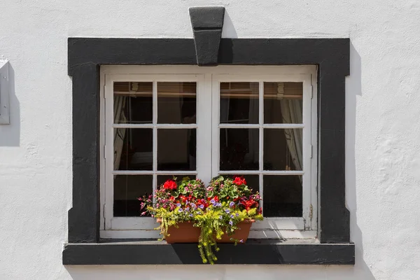 Gyönyörű Virágok Fekete Keretes Ablakon Kis Virágláda — Stock Fotó