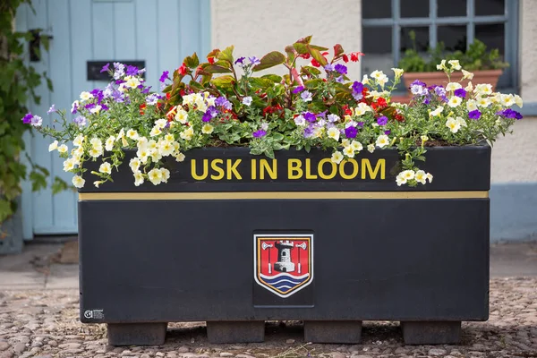 Usk Wales Junio 2015 Usk Caja Plantadora Flores Con Una —  Fotos de Stock