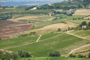 Zeytin bahçeleri ve evde çalışırken Tuscan kırsal, İtalya