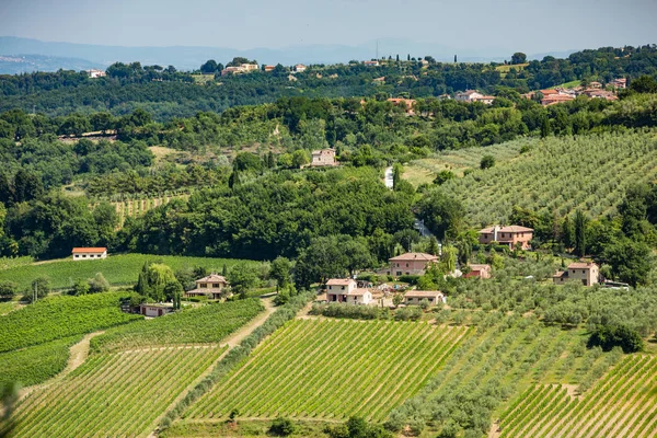 Тосканський Будинків Виноградників Поблизу Монтепунчіано Тоскана — стокове фото