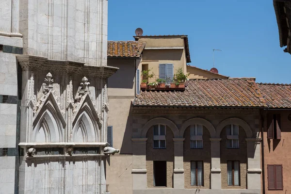 Het Dak Balkon Met Planten Gelegen Tegenover Siena Kathedraal Tuscany — Stockfoto