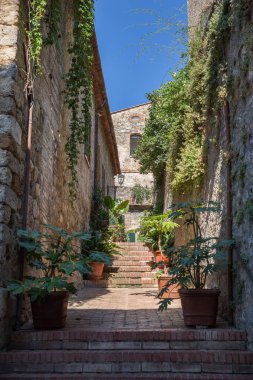 San Gimignano, İtalya binalarda dar sokak üretim tesisi ile kaplı