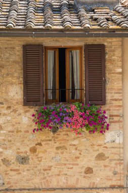San Gimignano, Tuscany, İtalya güzel Petunya çiçek dolu bir flowertbox ile kahverengi kepenkli pencere