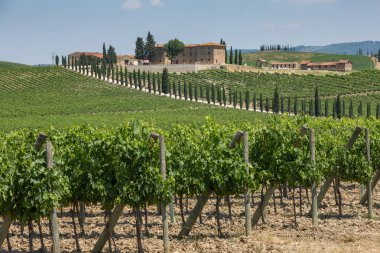 Şarap ve üzüm bağları tepeler San Gimignano, Chianti, Toskana bölgesindeki Oteller