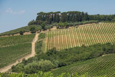 Şarap ve üzüm bağları tepeler San Gimignano, Chianti, Toskana bölgesindeki Oteller