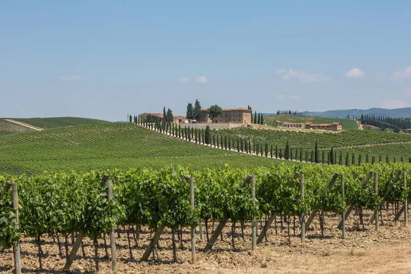 Виноробні Виноградники Пагорби Поблизу Сан Джіміньяно Кьянті Тоскана — стокове фото