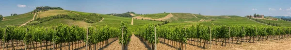 Panoramiczny Widok Winiarni Winnic Wzgórz Pobliżu San Gimignano Chianti Toskania — Zdjęcie stockowe