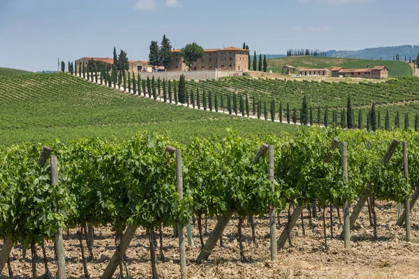 와이너리와 언덕에 Gimignano 토스카 — 스톡 사진