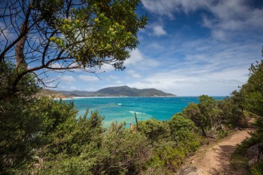 Küçük Oberon bay Wilsons Promontory Milli Park, Avustralya