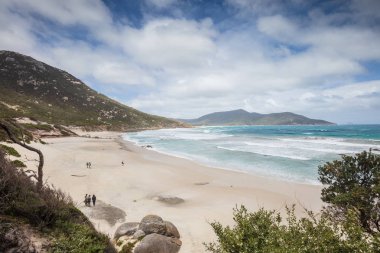 Küçük Oberon bay Wilsons Promontory Milli Park, Avustralya