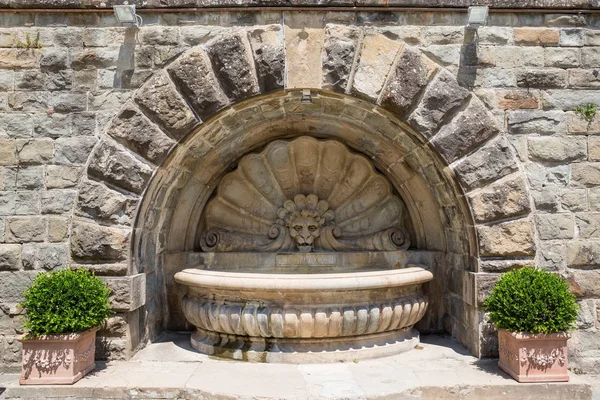 Fontana Abbeveratoio Con Testa Leone Radda Chianti Toscana — Foto Stock