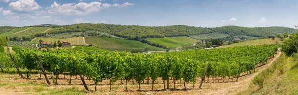 Панорамний Вид Виноробні Виноградники Пагорби Поблизу Сан Джіміньяно Кьянті Тоскана — стокове фото