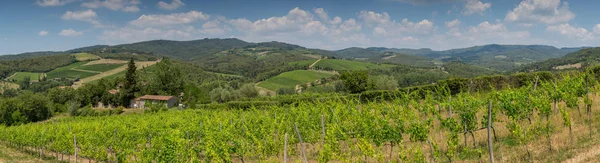 Panoramatický Pohled Vinařství Vinice Zvlněných Kopcích Poblíž San Gimignano Chianti — Stock fotografie