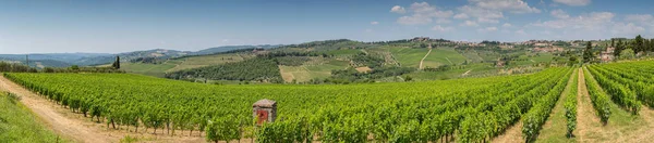 Panoramatický Pohled Vinařství Vinice Zvlněných Kopcích Poblíž Radda Chianti Toskánsko — Stock fotografie