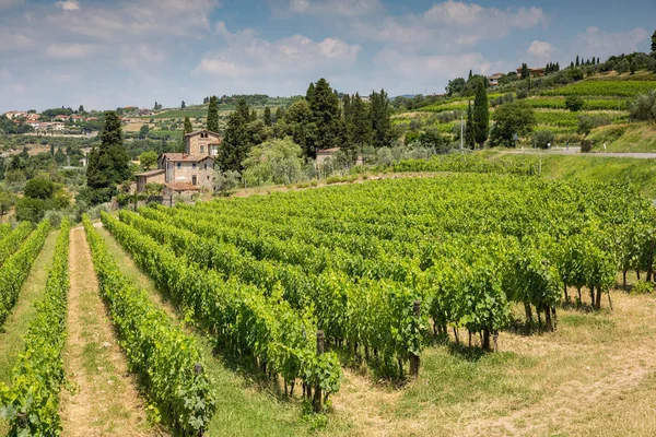 Blick Auf Ein Weingut Und Weinberge Den Sanften Hügeln Der — Stockfoto