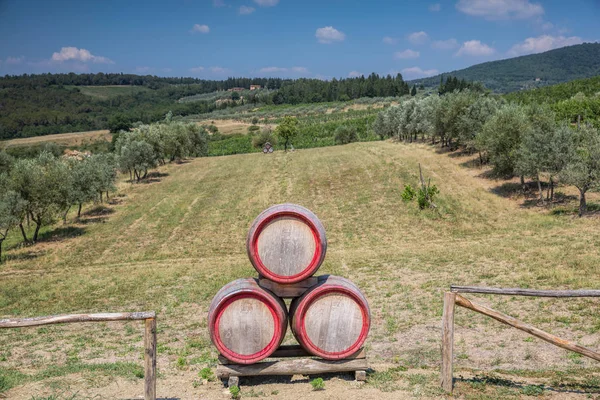 Vecchie Botti Vino Decorano Campo Vuoto Una Cantina Chianti Toscana — Foto Stock