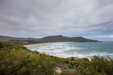 Oberon bay Wilsons Promontory Milli Park, Avustralya