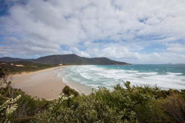 Oberon bay Wilsons Promontory Milli Park, Avustralya