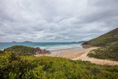 Viski koy plaj Wilsons Promontory Milli Park, Victoria, Avustralya genel bakış