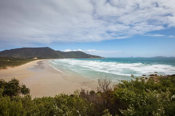 Oberon bay Wilsons Promontory Milli Park, Avustralya