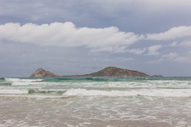 Ada Wilsons Promontory Milli Parkı Victoria, Avustralya Koyu'nda piknik tam karşısında