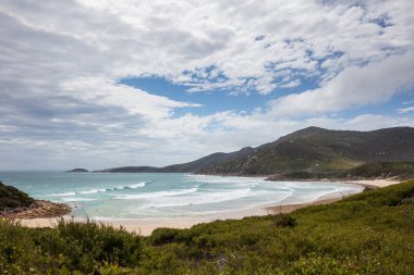 Leonard bay Wilsons Promontory Milli Parkı Victoria, Avustralya