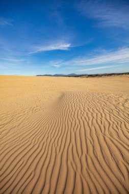 Çarpıcı kum tepeleri ve gökyüzüne büyük Drift Wilsons Promontory Milli Park, Avustralya