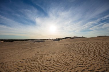 Çarpıcı kum tepeleri ve gökyüzüne büyük Drift Wilsons Promontory Milli Park, Avustralya