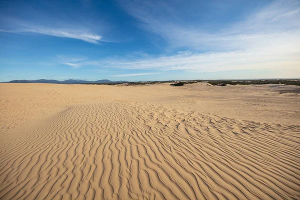 Stunning Sand Dunes Sky Big Drift Wilsons Promontory National Park — Stock Photo, Image