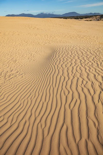 Stunning Sand Dunes Sky Big Drift Wilsons Promontory National Park — Stock Photo, Image