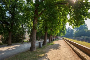Lucca İtalya 5th Temmuz 2015: Toskana, İtalya güzel şehir Lucca çevreleyen duvarların muhteşem 4 km çevresinde yürüyüş 