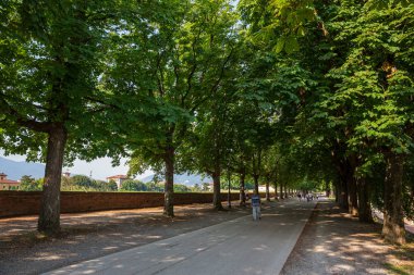 Lucca İtalya 5th Temmuz 2015: Toskana, İtalya güzel şehir Lucca çevreleyen duvarların muhteşem 4 km çevresinde yürüyüş