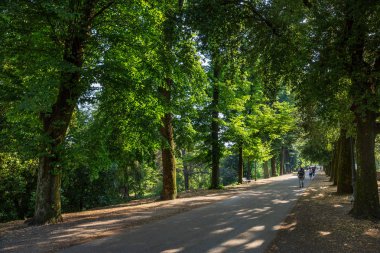 Lucca İtalya 5th Temmuz 2015: Toskana, İtalya güzel şehir Lucca çevreleyen duvarların muhteşem 4 km çevresinde yürüyüş