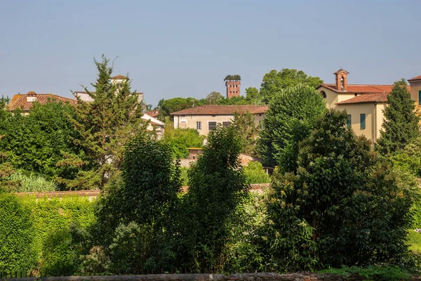 Belos Edifícios Visíveis Das Famosas Muralhas Que Rodeiam Cidade Lucca — Fotografia de Stock