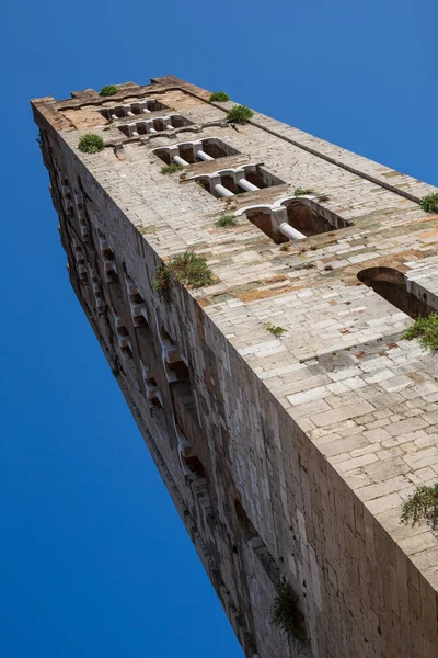 Toren Van Basiliek Van San Frediano Die Een Romaanse Kerk Stockfoto