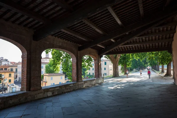 Lucca Italië Juli 2015 Bestreken Gebied Van Loopbrug Muren Rondom Stockfoto