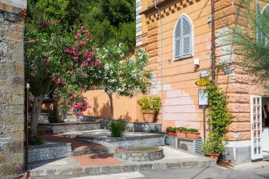 Bir Monterosso al Mare İtalya 5th Temmuz 2015: Monterosso al Mare, Liguria, İtalya için güzel çiçekli ağaçlar