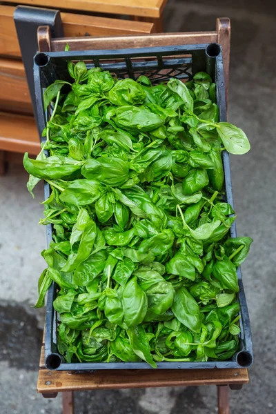 Barrow Geplukt Basilicum Bladeren Een Markt Italië Stockfoto