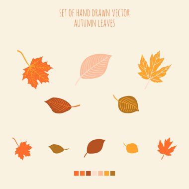 Paletli vektör el çizilmiş yapraklar kümesi