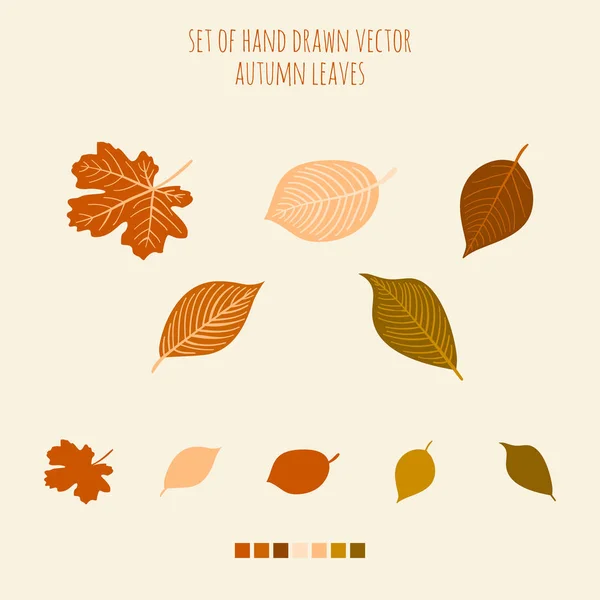 Set of vector hand drawn leaves with palette — Stock Vector