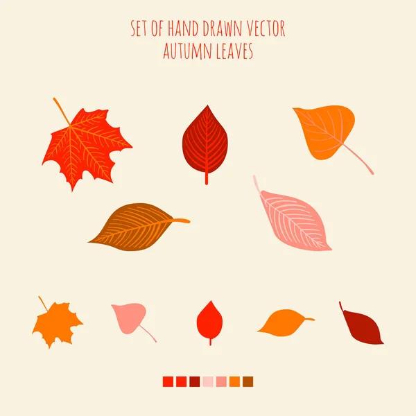 Ensemble de feuilles dessinées à la main vectorielles avec palette — Image vectorielle