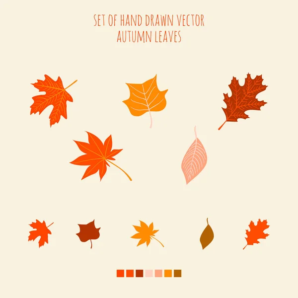 Ensemble de feuilles dessinées à la main vectorielles avec palette — Image vectorielle