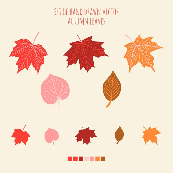 Ensemble de feuilles dessinées à la main vectorielles avec palette — Image vectorielle