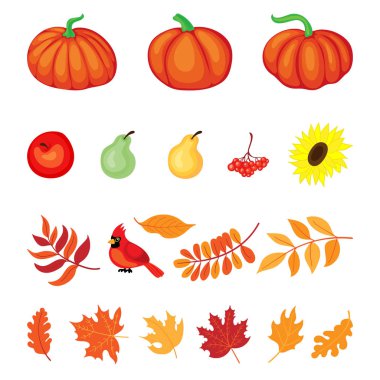 Şükran Günü elementlerinin vektör el çizimi. Düz a