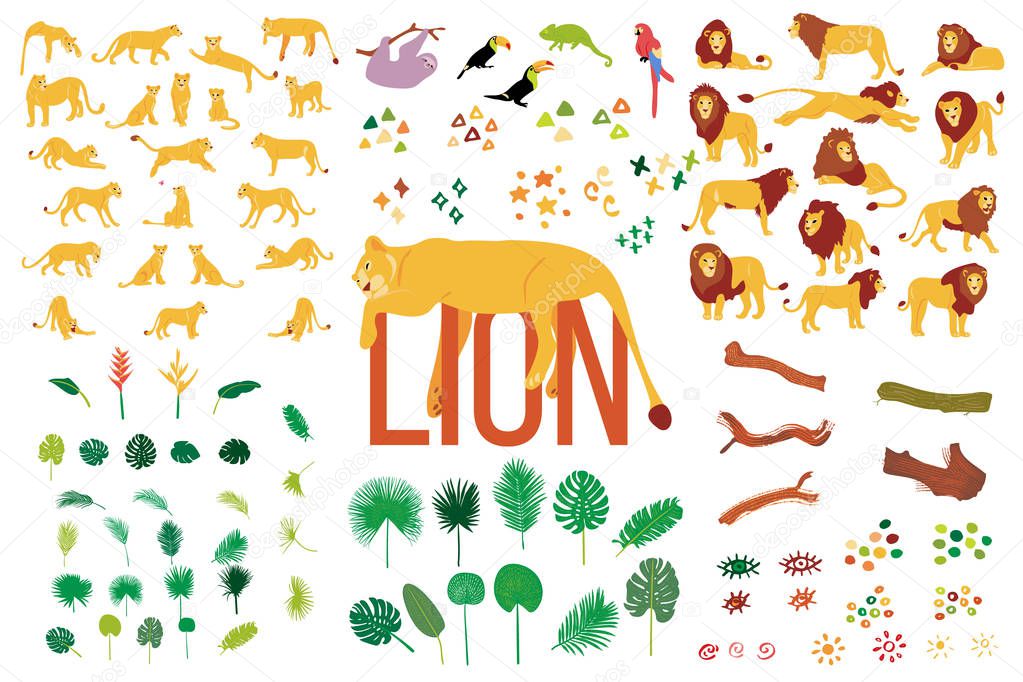 Vector hand drawn flat collection of Lions and tropical plants i